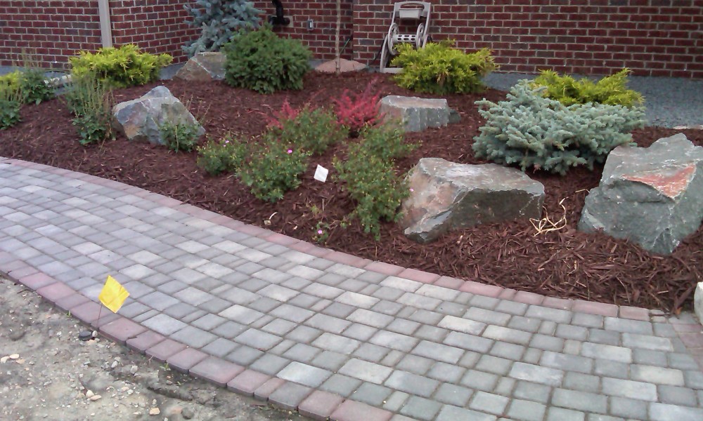 Shrubs, Bushes, Trees, Flowers, Landscaping Design and Installation Services in Rochester Mn