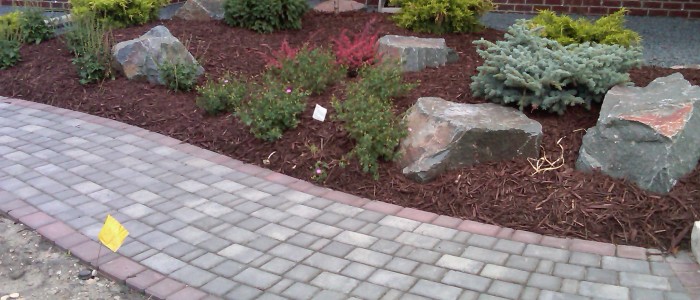 Shrubs, Bushes, Trees, Flowers, Landscaping Design and Installation Services in Rochester Mn